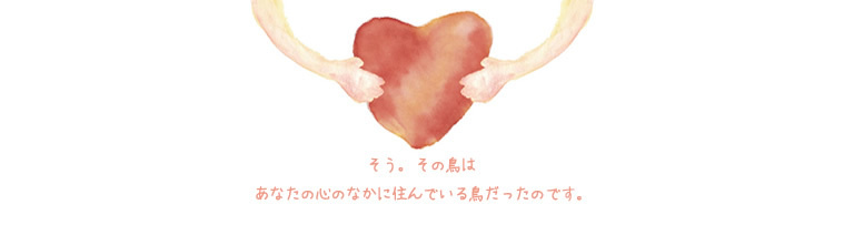 st05.jpg