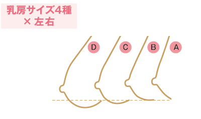 乳房サイズ4種類