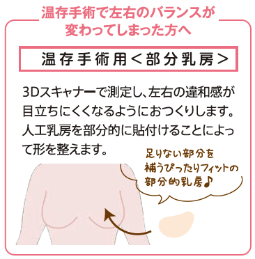 温存手術用 部分乳房