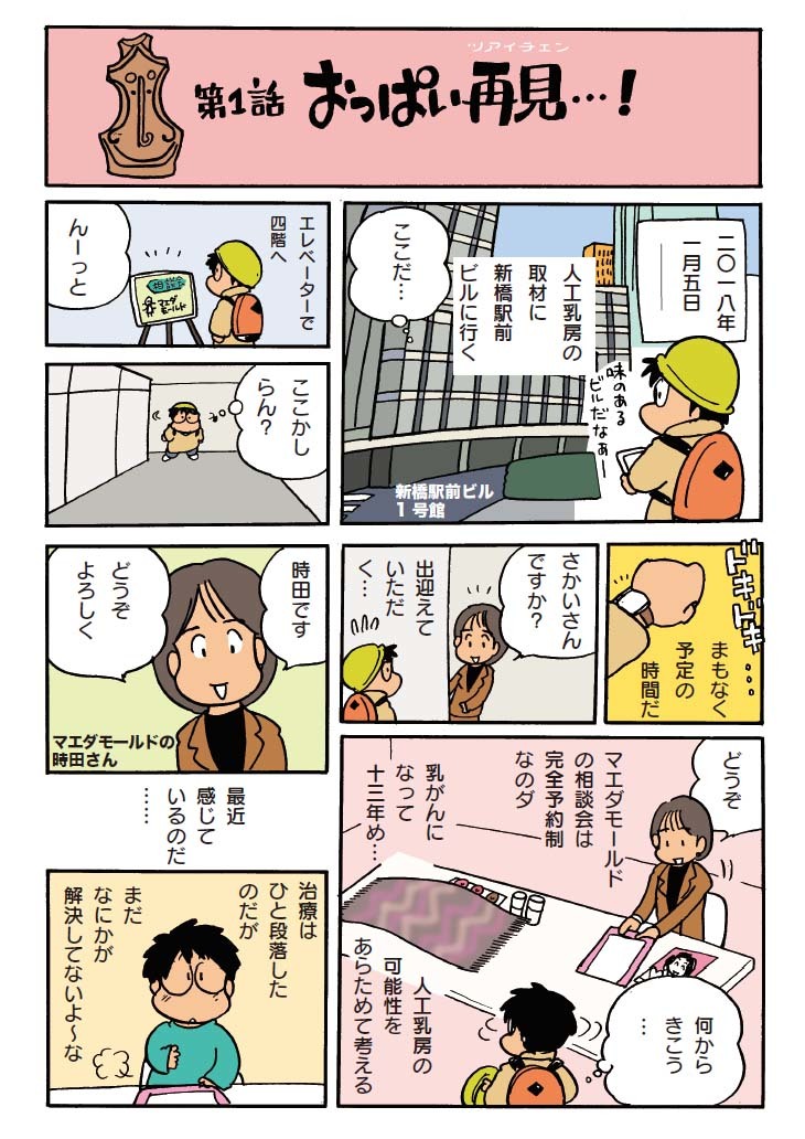 マンガでわかる人工乳房vol1